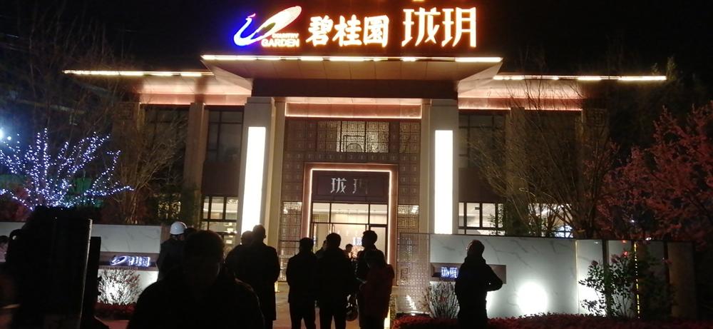 碧桂園弱電及售樓處亮化發(fā)光字項目